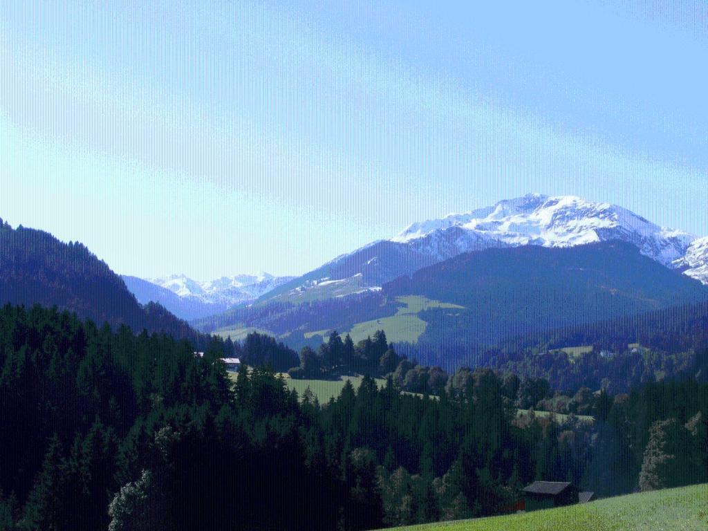 Landgasthof Dorferwirt Oberau Dış mekan fotoğraf