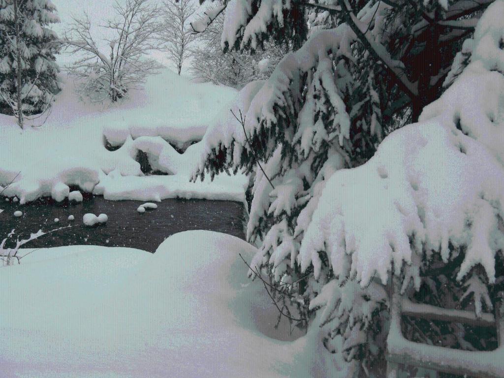 Landgasthof Dorferwirt Oberau Dış mekan fotoğraf