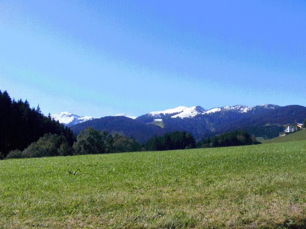 Landgasthof Dorferwirt Oberau Oda fotoğraf